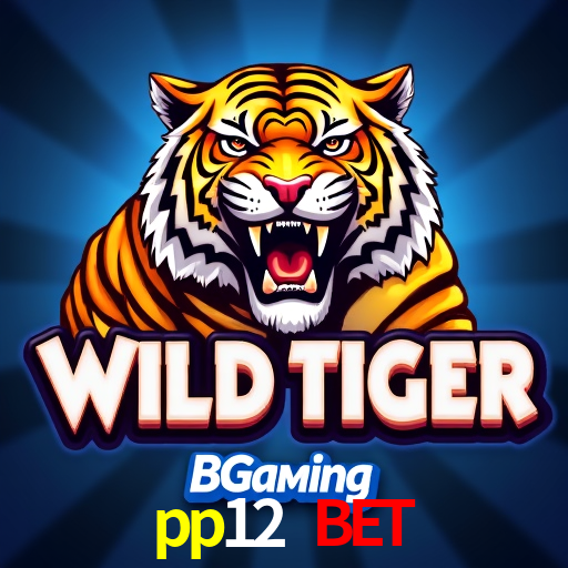 Sinta a adrenalina dos jogos de cassino com pp12 bet